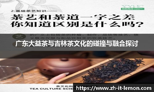 广东大益茶与吉林茶文化的碰撞与融合探讨