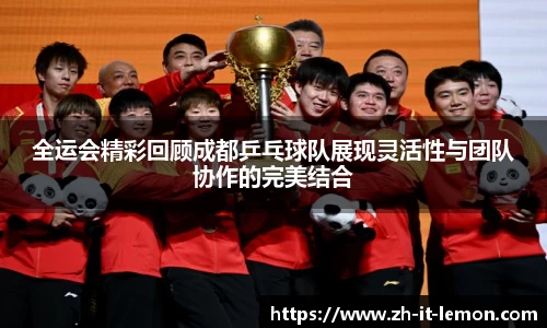全运会精彩回顾成都乒乓球队展现灵活性与团队协作的完美结合