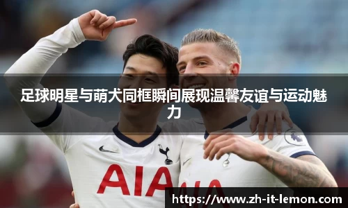 足球明星与萌犬同框瞬间展现温馨友谊与运动魅力